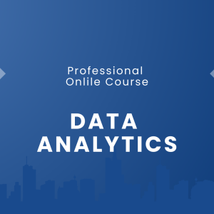 Professional Data Analytics Online Course
