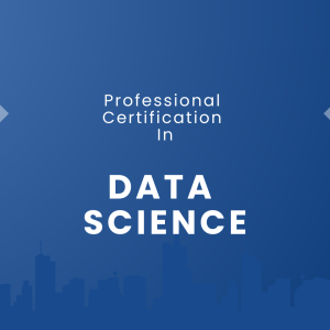 Professional Certification in Data Science