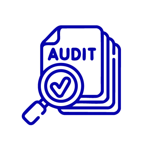 Auditing & Internal Controls
